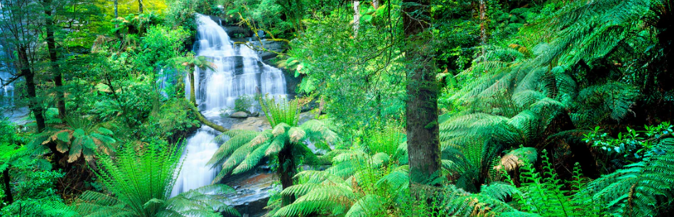 Puckapunyal Victoria