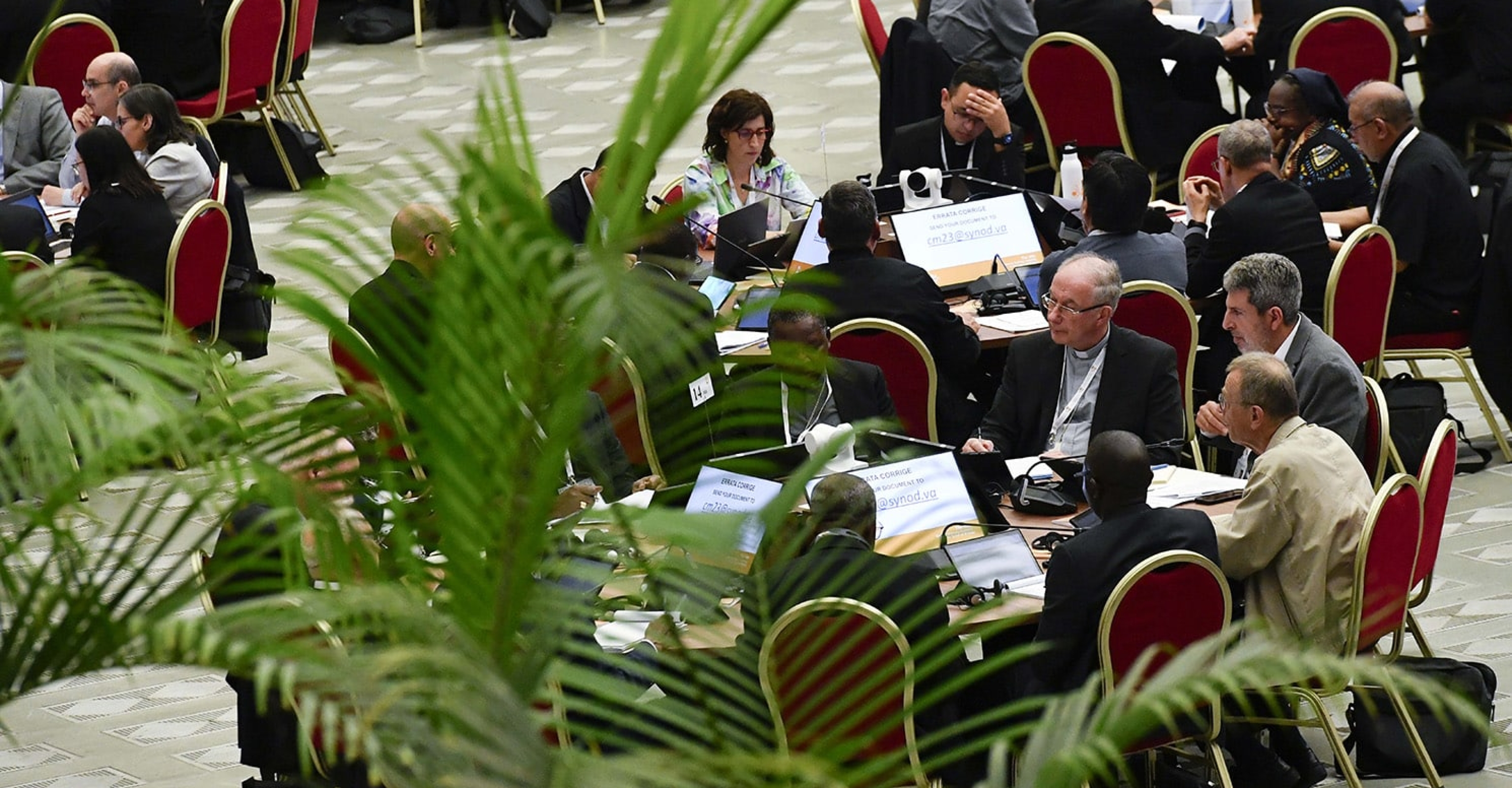 Synod of Bishops on Synodality: Interim Report Released