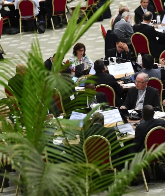 Synod of Bishops on Synodality: Interim Report Released